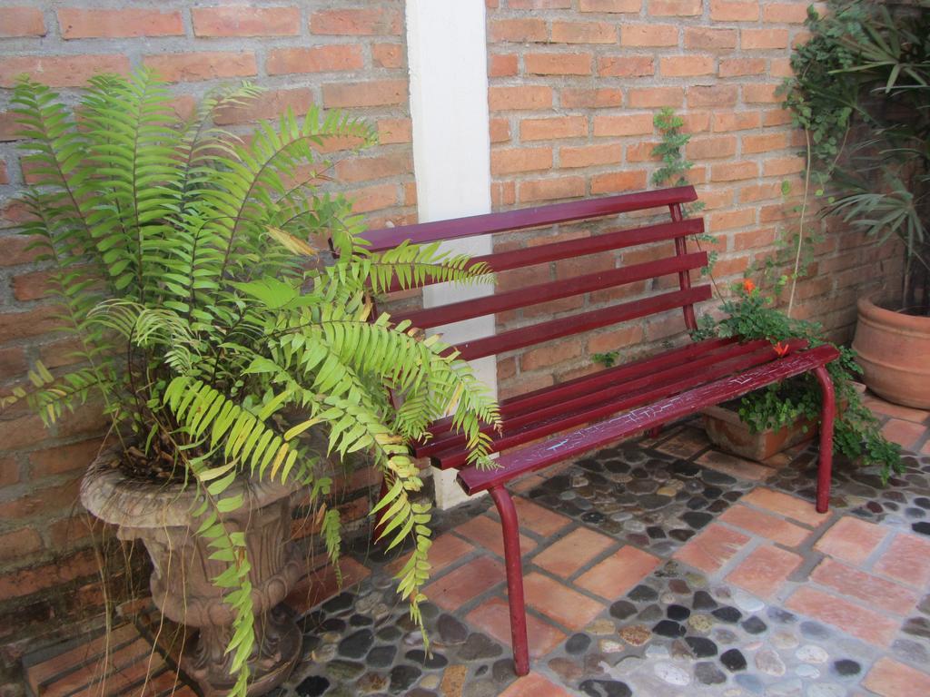 Bed and Breakfast La Colorada Zacualpan Екстер'єр фото