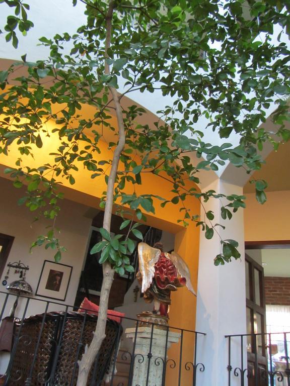 Bed and Breakfast La Colorada Zacualpan Екстер'єр фото