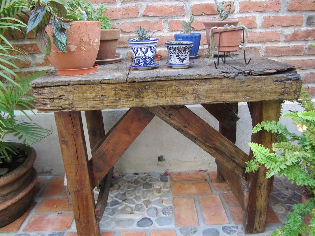 Bed and Breakfast La Colorada Zacualpan Екстер'єр фото