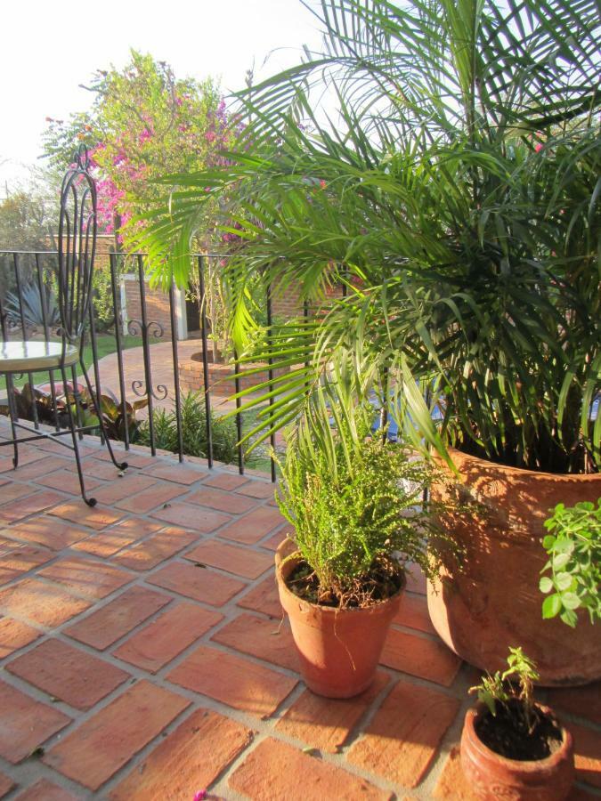 Bed and Breakfast La Colorada Zacualpan Екстер'єр фото